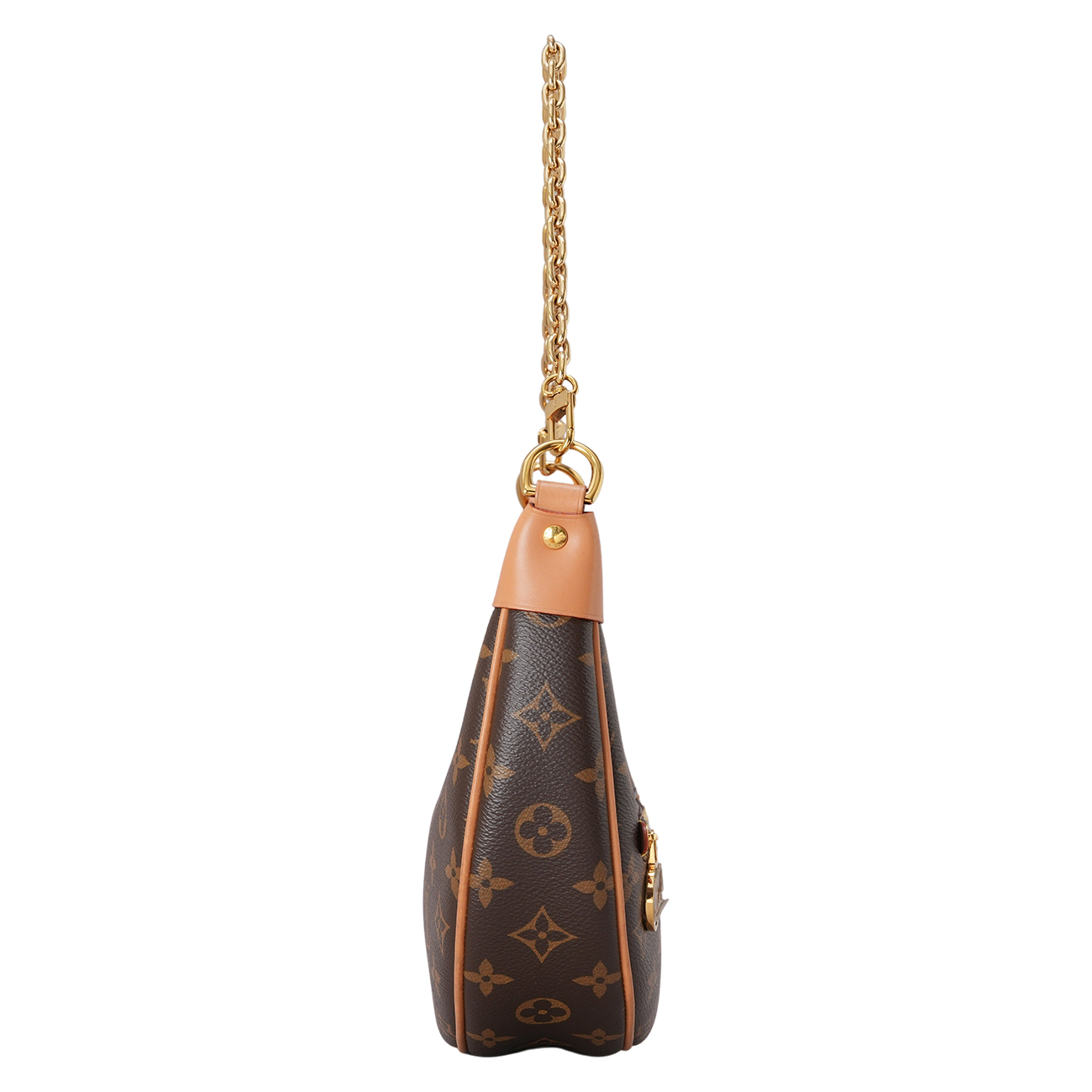 LOUIS VUITTON(USED)루이비통 M81098 모노그램 루프 호보